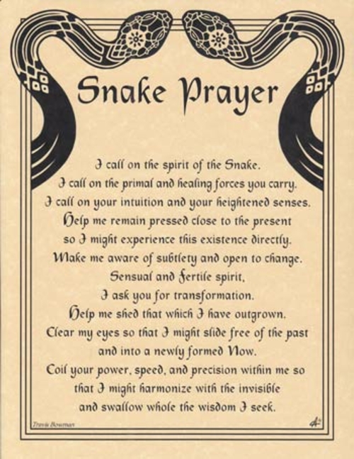 Snake Prayer poster