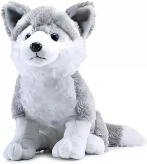 SOFT TOYS HUSKY DOG - 20 cm  (Multicolor)