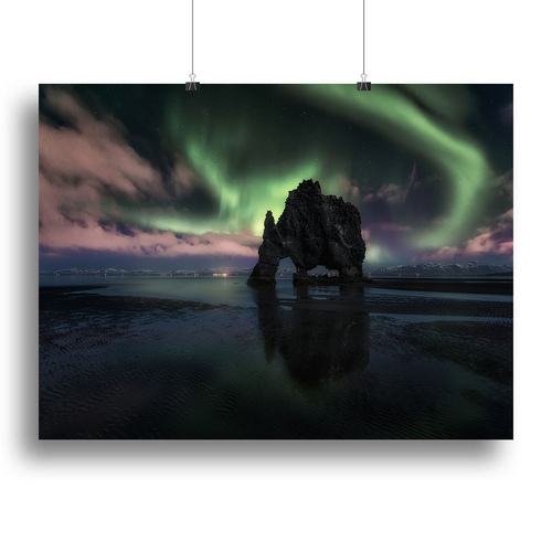 Rhino Silhouette II Canvas Print or Poster
