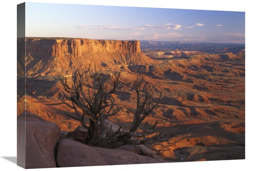 Global Gallery GCS-396625-1824-142 18 x 24 in. View From Green River O