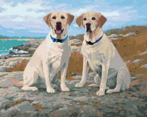 Zuty - Paint by Numbers - GOLDEN LABRADORS ON THE COAST (JIM KILLEN),