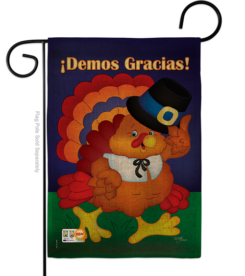 Breeze Decor BD-TG-G-113037S-IP-DB-D-US19-BD 13 x 18.5 in. Demos Graci