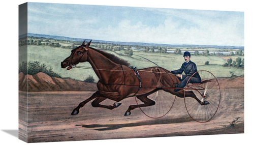 Global Gallery GCS-277198-22-142 22 in. Queen of the Turf Maud S.,