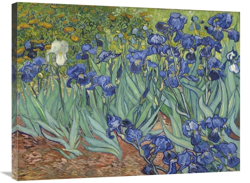 Global Gallery GCS-281275-36-142 36 in. Irises, 1889 Art Print - V