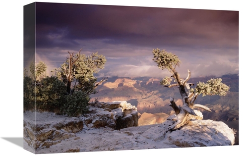 Global Gallery GCS-397053-1216-142 12 x 16 in. South Rim of Grand Cany