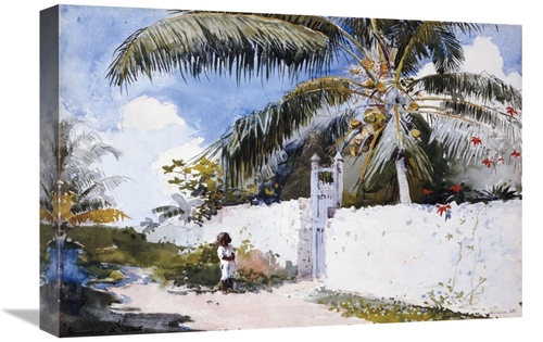 Global Gallery GCS-268131-22-142 22 in. A Garden in Nassau Art Print -