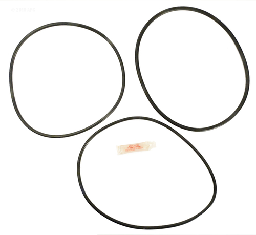 Alakit APCK1122 Sta-Rite PTM70 & 100 O-Ring Kit