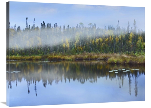 Global Gallery GCS-395984-3040-142 30 x 40 in. Fog Over Lake, Onta