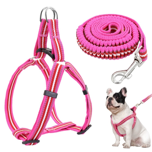 Adjustable Nylon Dog Harness With Leash Quick Fit