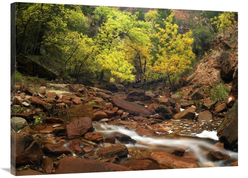 Global Gallery GCS-396460-3040-142 30 x 40 in. Zion Canyon Near Emeral