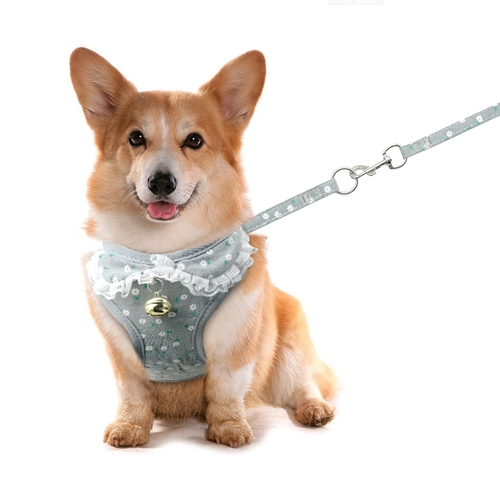 Dog Harness Vest and Leash Set Step in Mesh