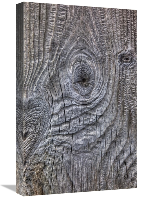 Global Gallery GCS-397776-22-142 22 in. Wind Eroded Wood, Deceptio