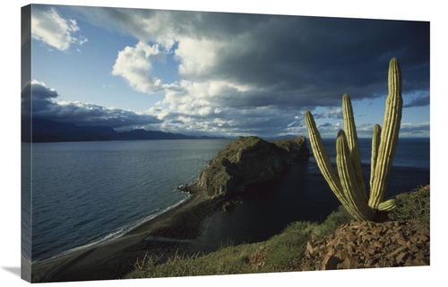 Global Gallery GCS-451710-2436-142 24 x 36 in. Danzante Island, Se