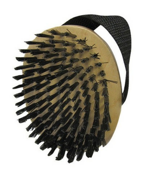 Aloe Care 06860 Glossing Pet Brush