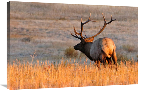 Global Gallery GCS-486492-36-142 36 in. Sundown Art Print - Vic Schend