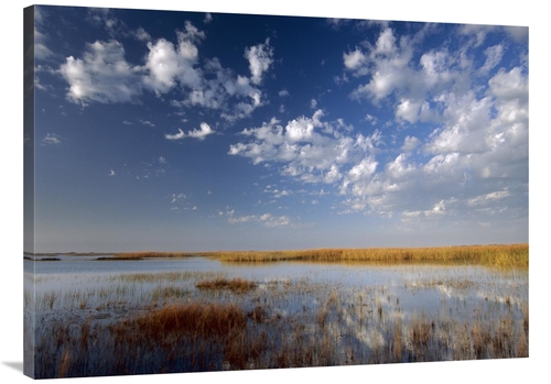 Global Gallery GCS-396188-3040-142 30 x 40 in. Marsh, Padre Island