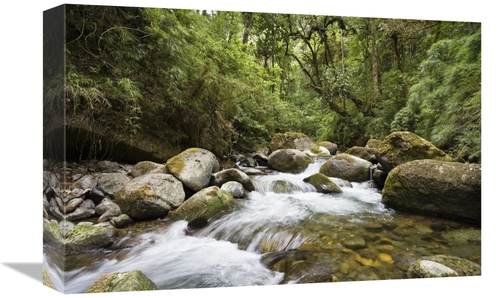 Global Gallery GCS-452663-1218-142 12 x 18 in. Savegre River Running T