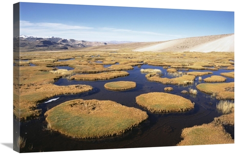 Global Gallery GCS-451494-2030-142 20 x 30 in. Andean Bofedal Near Sou