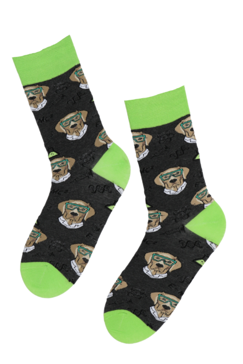 ROCCO grey cotton socks with dogs 