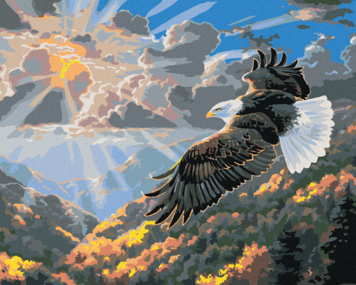 Paint by Numbers - SUNRISE AND BALD EAGLE IN FLIGHT (ABRAHAM HUNTER)