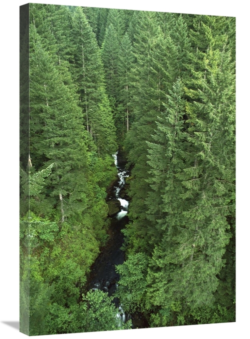 Global Gallery GCS-452995-2030-142 20 x 30 in. Oneonta Creek, Colu