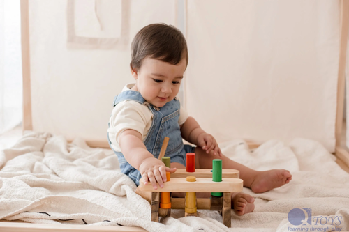 QToys Australia (USA) Pound a Peg