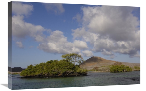 Global Gallery GCS-453050-2030-142 20 x 30 in. Palo Santo Trees, M