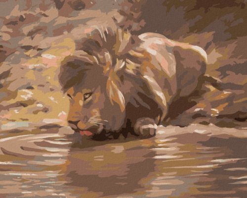 Zuty - Paint by Numbers - YOUNG LION AT THE WATERING HOLE (D. RUSTY