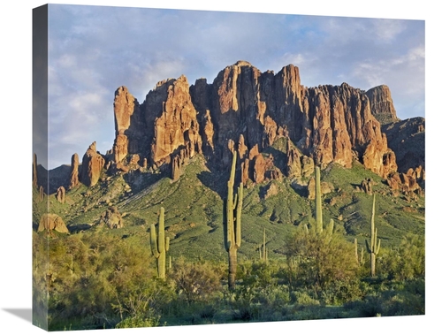 Global Gallery GCS-396908-22-142 22 in. Saguaro Cacti & Superstition M