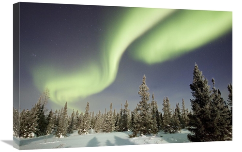 Global Gallery GCS-395454-2030-142 20 x 30 in. Northern Lights or Auro