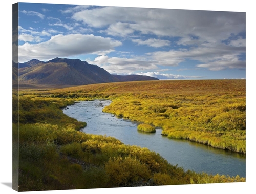 Global Gallery GCS-397149-2835-142 28 x 35 in. North Klondike River Fl