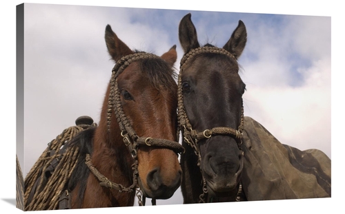 Global Gallery GCS-453134-2436-142 24 x 36 in. Horses Pair Belonging t