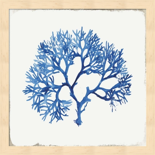 Metaverse R950196-0120000-AEAAAACAN4 13.25 x 13.25 in. Blue & Green Co