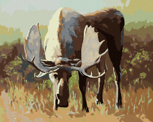 Zuty - Paint by Numbers - LONELY MOOSE IN THE PASTURE (D. RUSTY RUST),