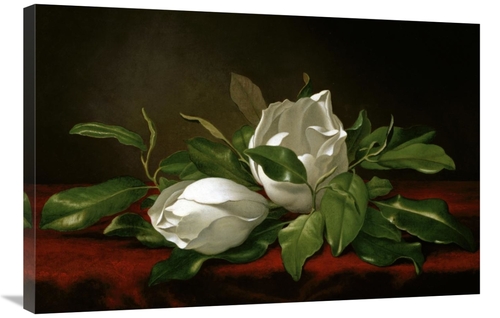 Global Gallery GCS-282179-36-142 36 in. Magnolia Art Print - Martin Jo