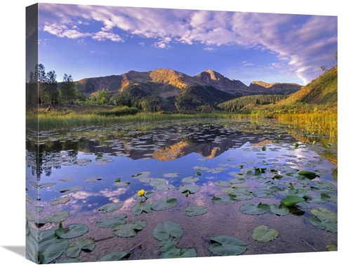 Global Gallery GCS-397000-22-142 22 in. Lily Pads & Reflection of Snow