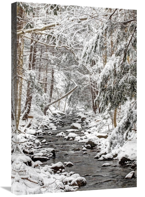 Global Gallery GCS-397598-2030-142 20 x 30 in. Stream in Winter, N