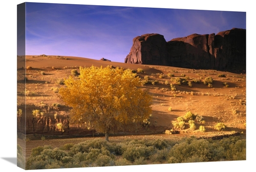 Global Gallery GCS-396875-1824-142 18 x 24 in. Cottonwood Tree & Coyot