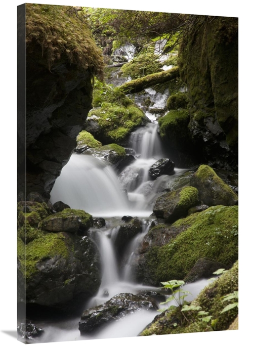 Global Gallery GCS-395439-2436-142 24 x 36 in. Cascading Creek in Temp