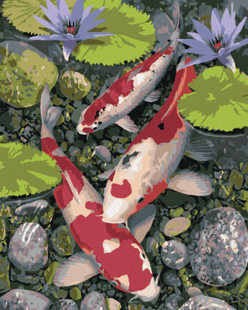 Paint by Numbers - KOI FISH AND WATER LILIES (HOWARD ROBINSON)