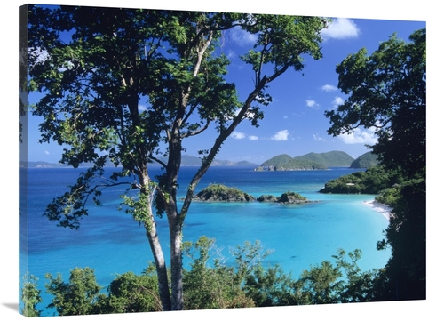 Global Gallery GCS-396489-3040-142 30 x 40 in. Caribbean Seen Through 