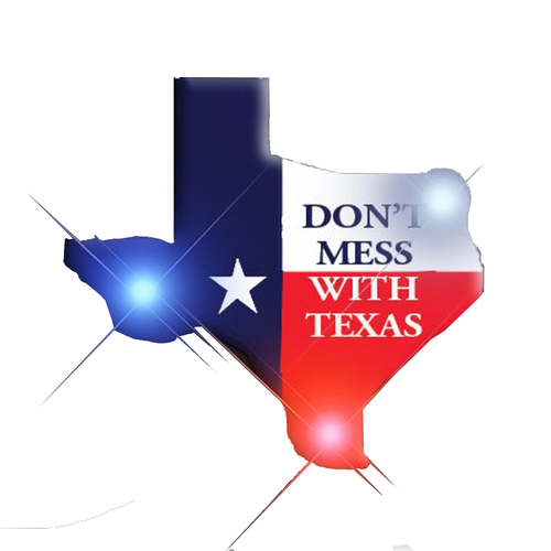 Blinkee 3775000 Dont Mess with Texas Flashing Body Light Lapel Pins