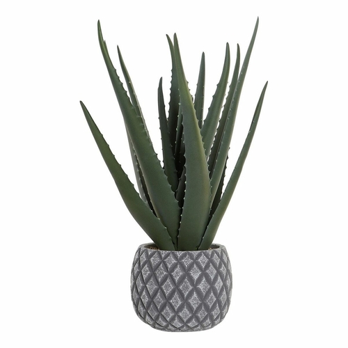 Decorative Plant DKD Home Decor Aloe Vera Polyethylene Stoneware (20 x