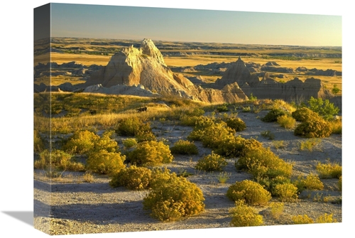 Global Gallery GCS-397096-1216-142 12 x 16 in. Coyote Bush & Eroded Fe