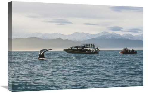 Global Gallery GCS-450784-2030-142 20 x 30 in. Sperm Whale Fluke & Tou