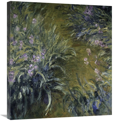 Global Gallery GCS-278716-30-142 30 in. The Path Through the Irises Ar