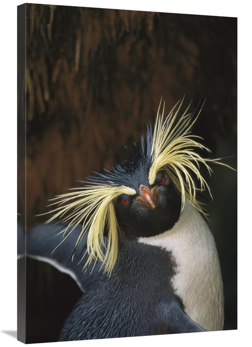 Global Gallery GCS-451806-2436-142 24 x 36 in. Rockhopper Penguin Port
