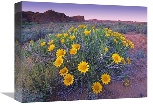 Global Gallery GCS-452218-1216-142 12 x 16 in. Sunflowers & Buttes&#44