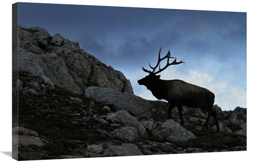 Global Gallery GCS-486401-36-142 36 in. Approaching Storm Art Print - 