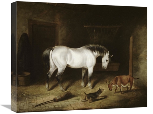 22 in. White Horse Art Print - John Frederick Herring
